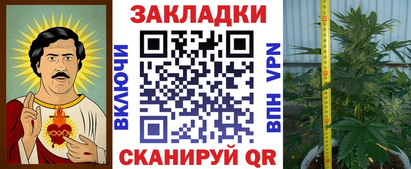 Продажа наркотиков Павловск APVP  Конопля  Кокаин  Мефедрон  ГАШ 