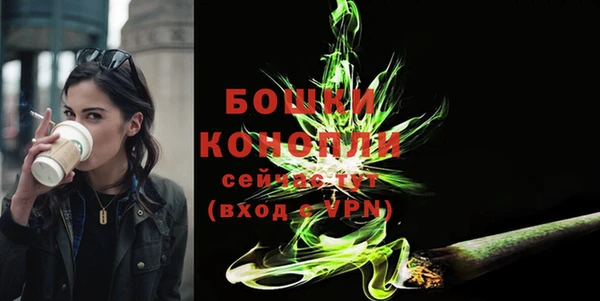 хмурый Богородицк