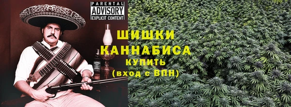 хмурый Богородицк