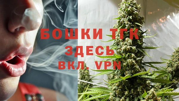 хмурый Богородицк