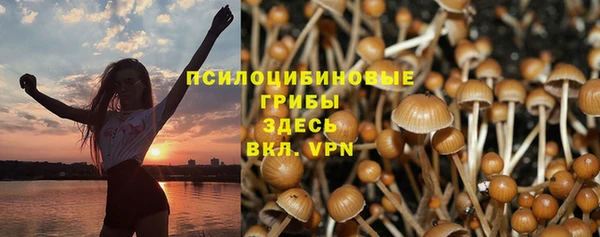 трава Богородск